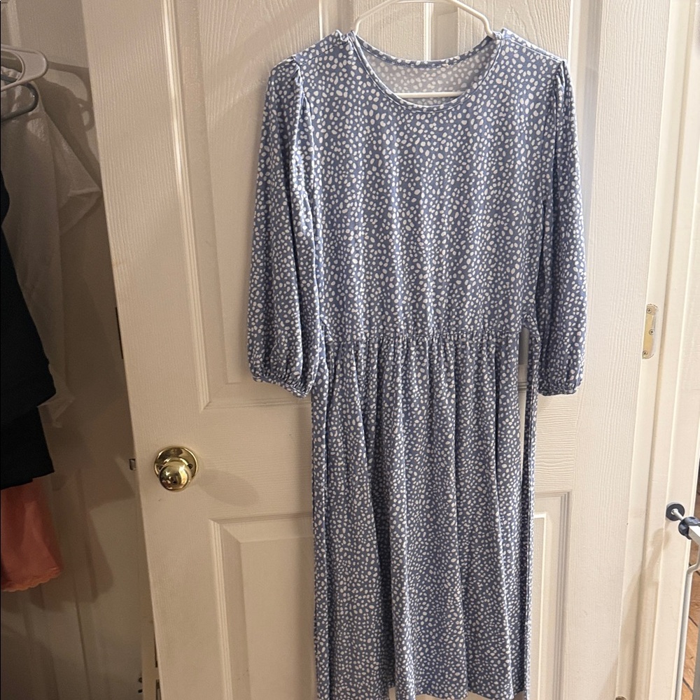 Zara Light Blue Printed Long-Sleeve Midi Dress